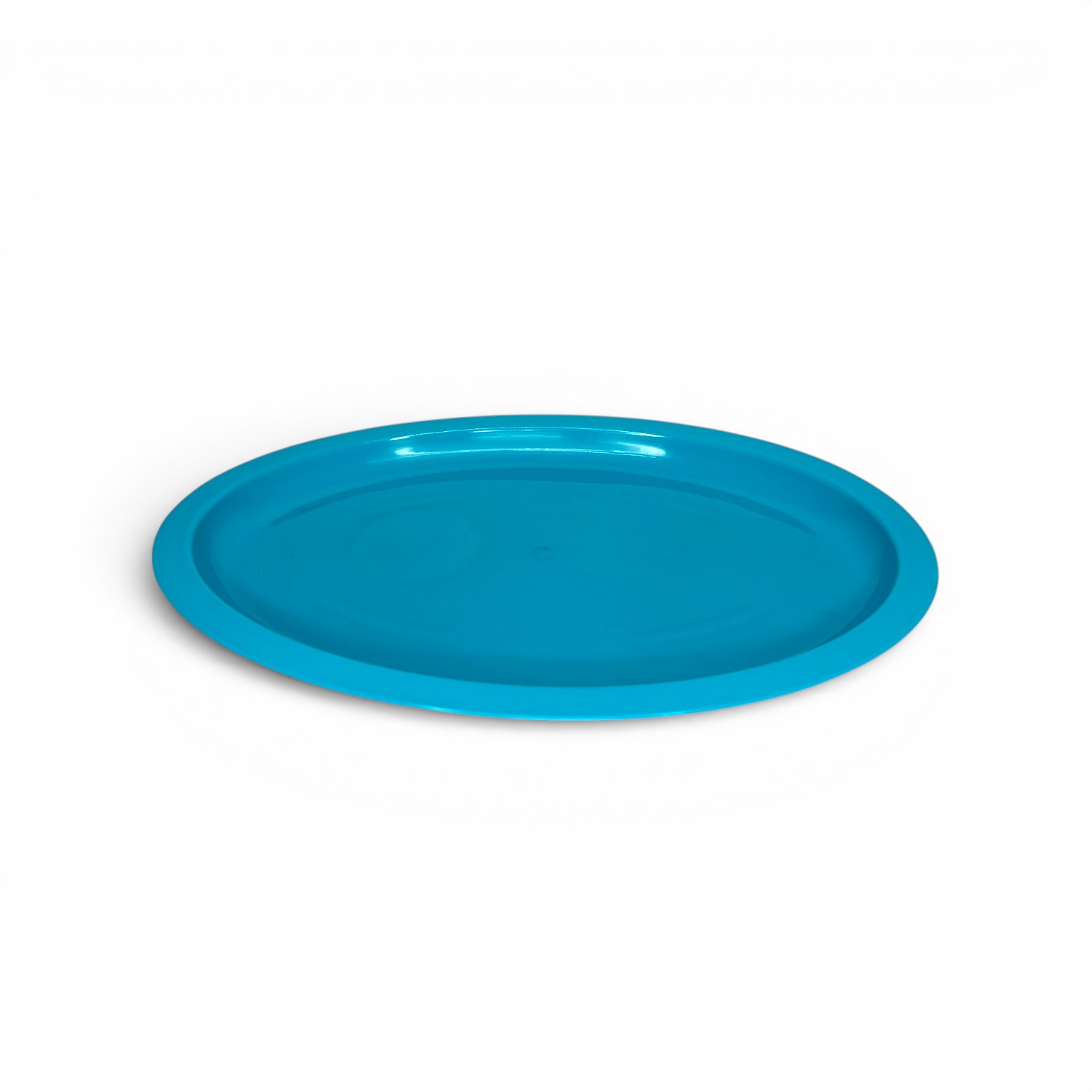 PLATO TAMPIQUEÑO COLORES