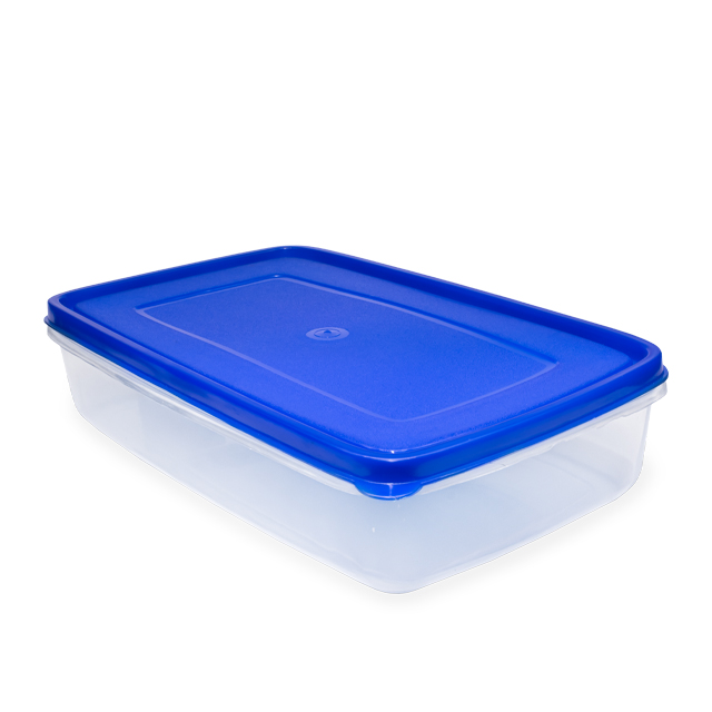 Recipiente 35039