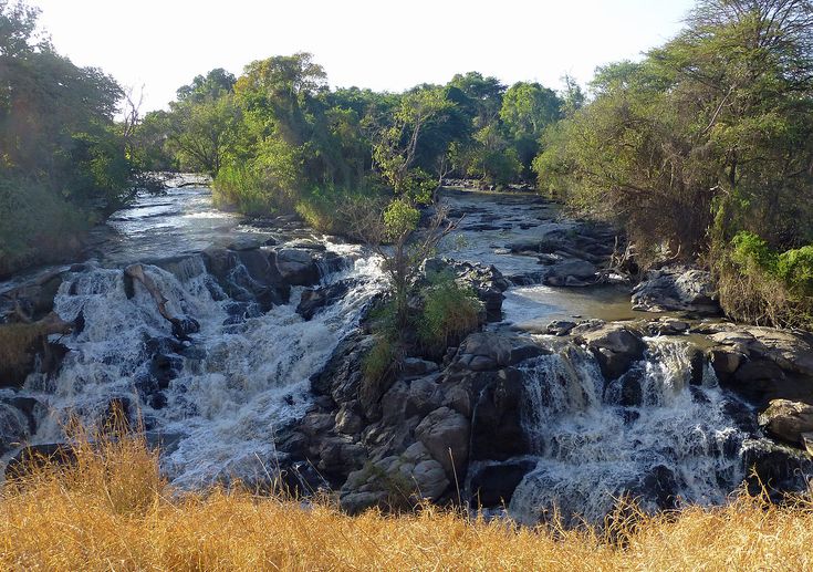 Day 1: Drive Addis Ababa to Awash National Park 