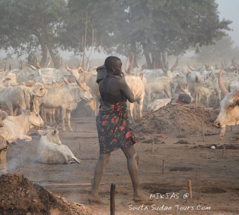 Morning with Mundari & Departure