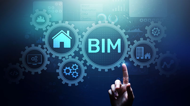 Bachelor of Information Management 