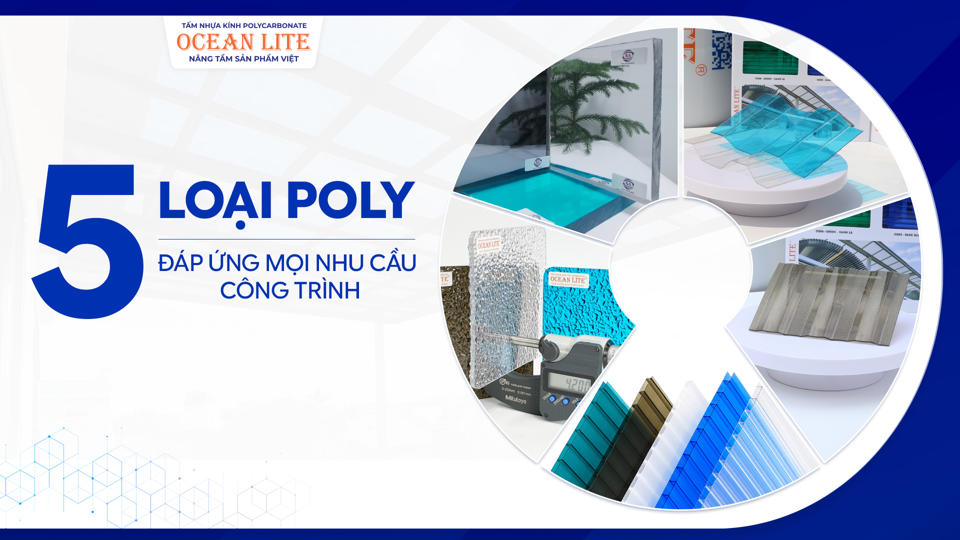 5-loai-poly.jpg