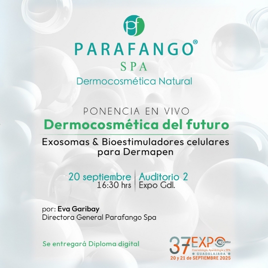 Guadalajara, Septiembre 2025 taller 9