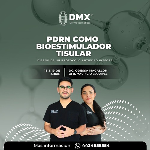 Guadalajara, Abril 2026 taller 12