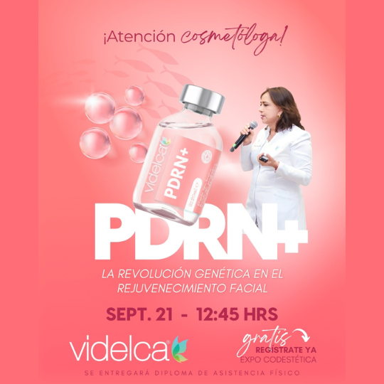 Guadalajara, Septiembre 2025 taller 9