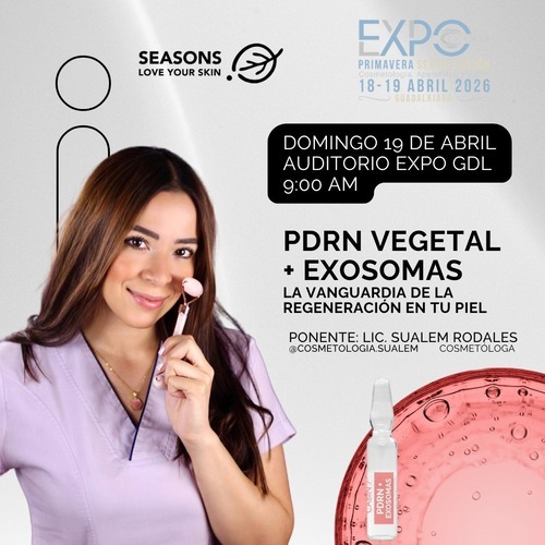 Guadalajara, Abril 2026 taller 12