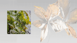 Discover Fascinating Random Artifacts from History