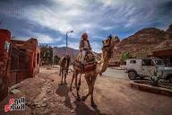  St. Catherine's Monastery & Dahab - 5