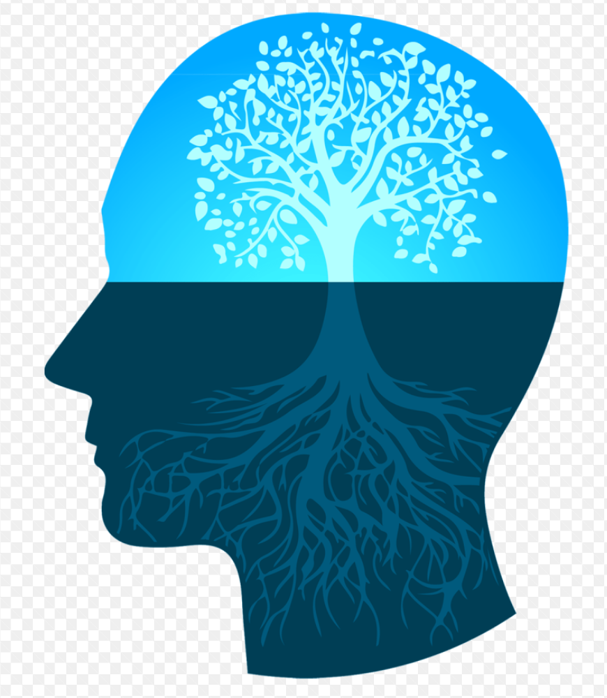 The Growth Mindset Advantage