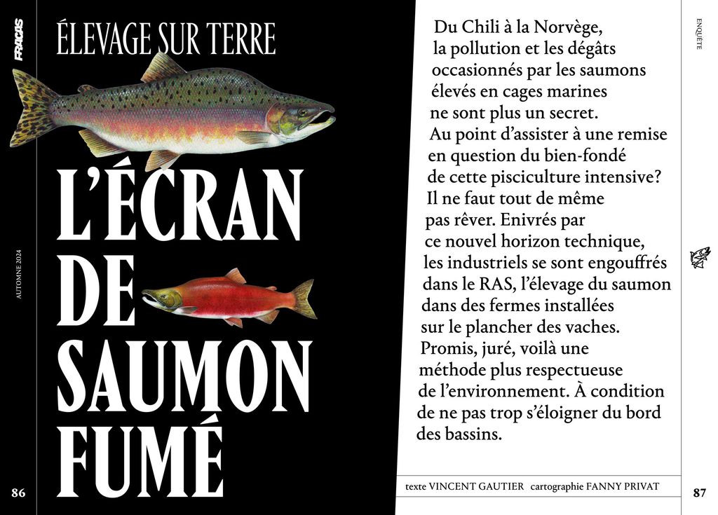 Fracas N°1 : enquête sur les élevages de saumons 