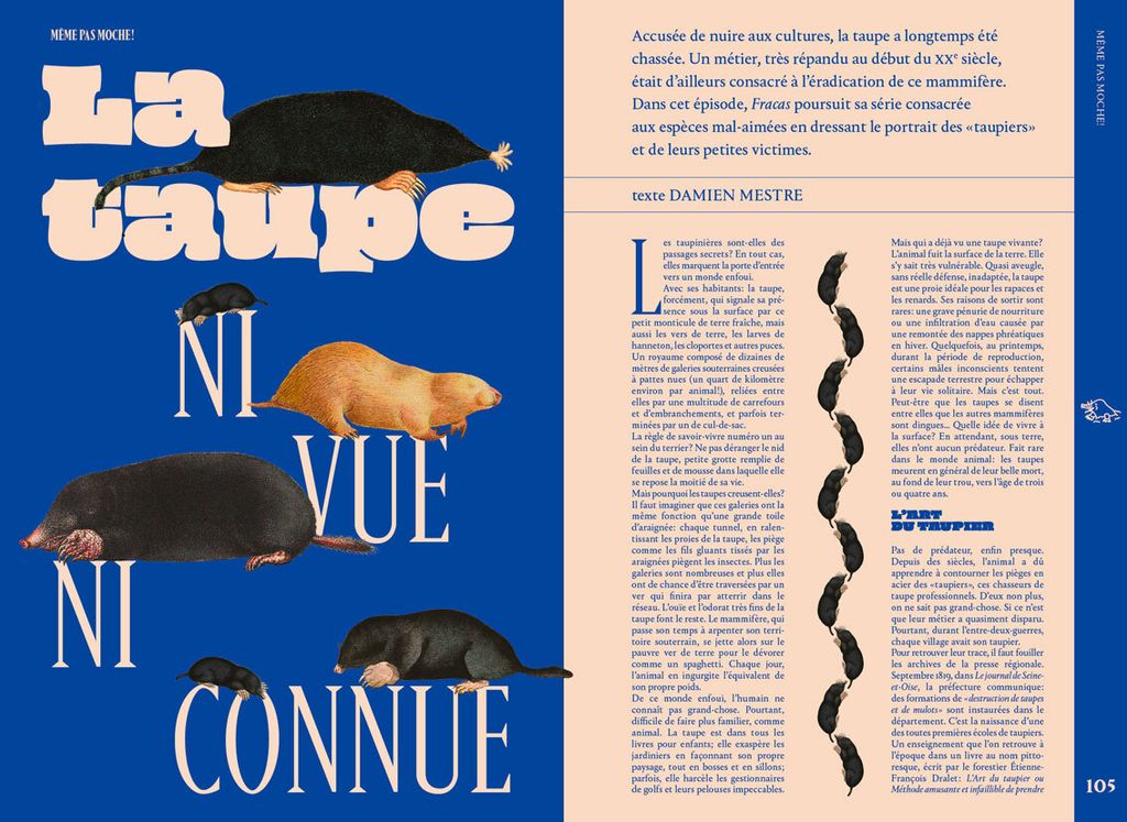 N6 Même pas Moche : la taupe ni vue ni connue