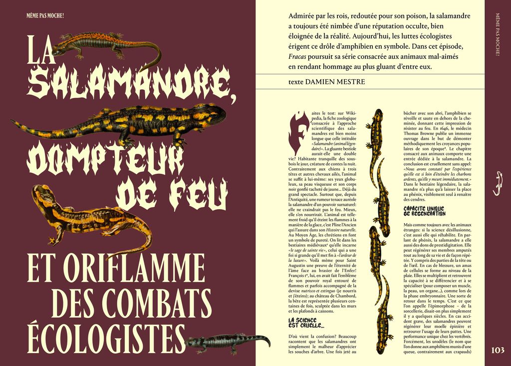 Fracas N2 - Même pas moche, la salamandre dompteur de feu