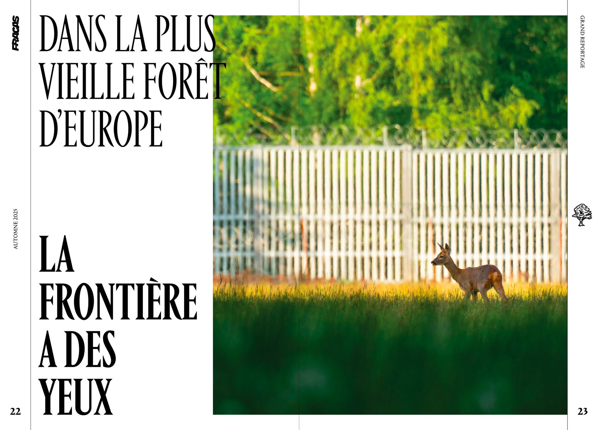 Fracas N°5 : Grand reportage dans la forêt millénaire de Białowieża