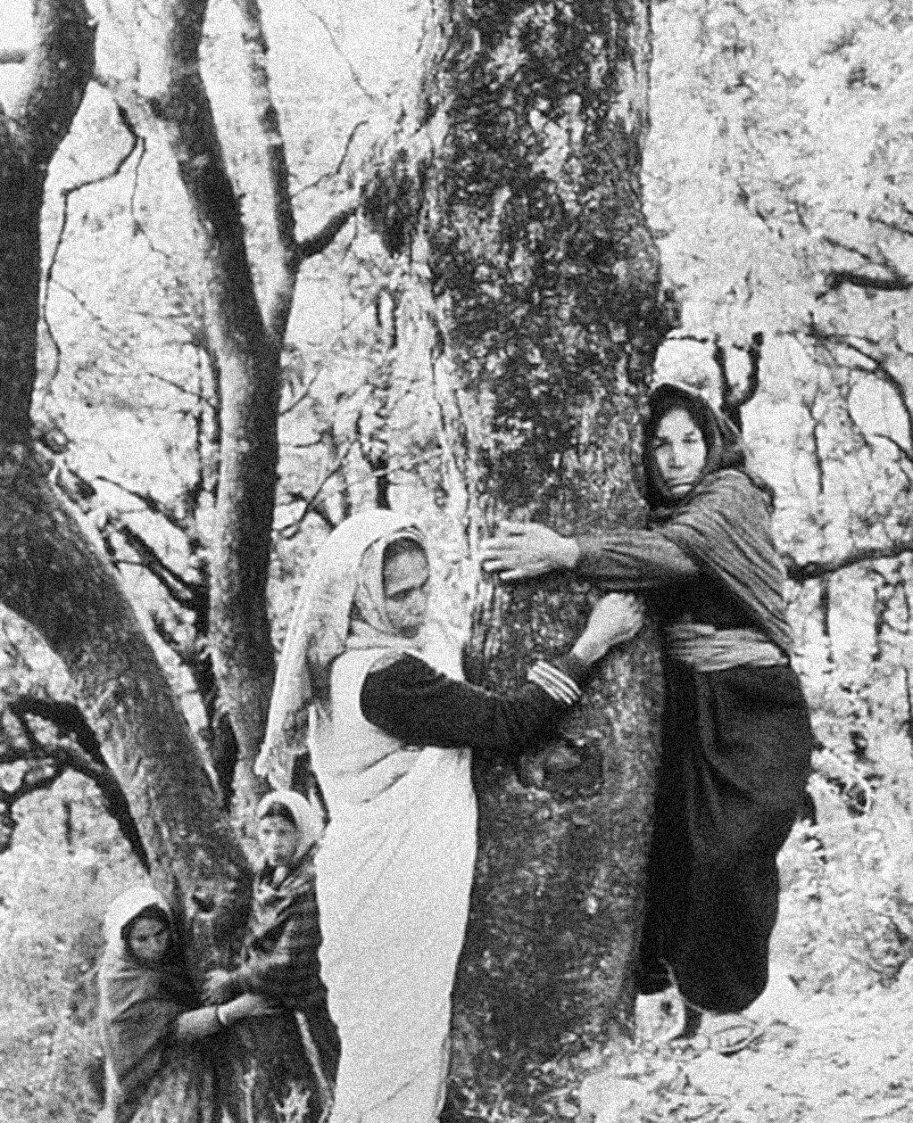 Mouvement Chipko.