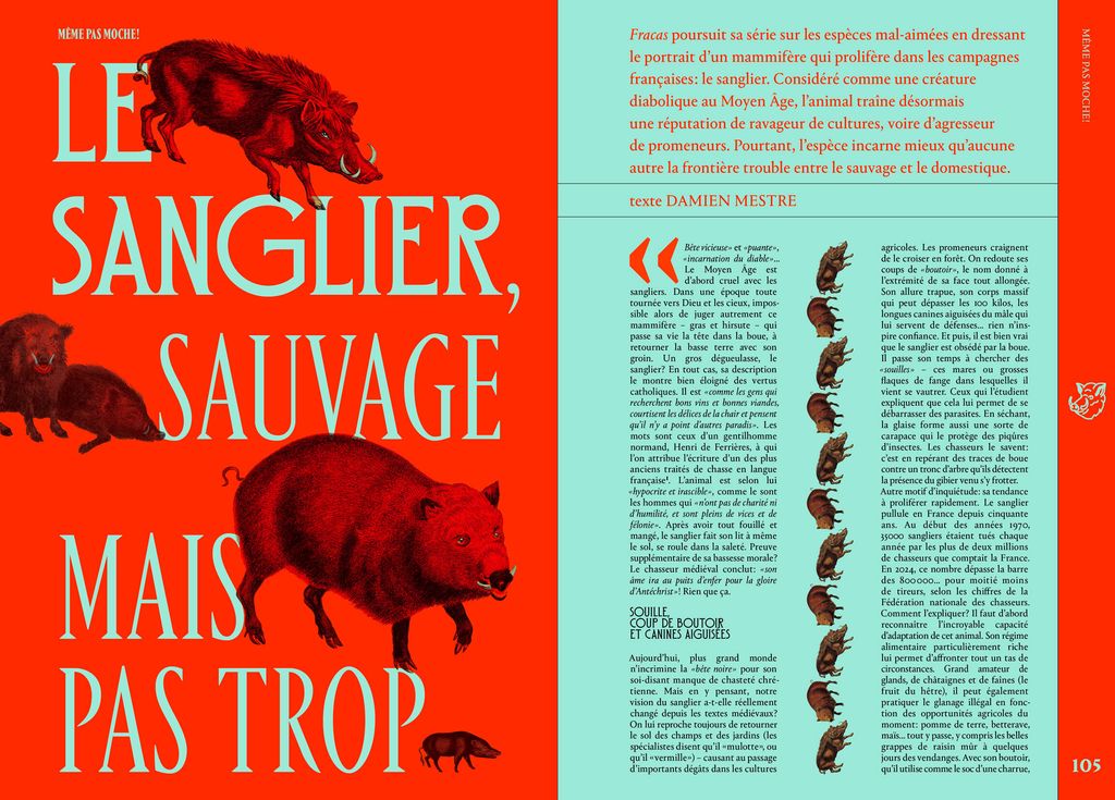 Fracas N5 - Même pas moche sur le sanglier