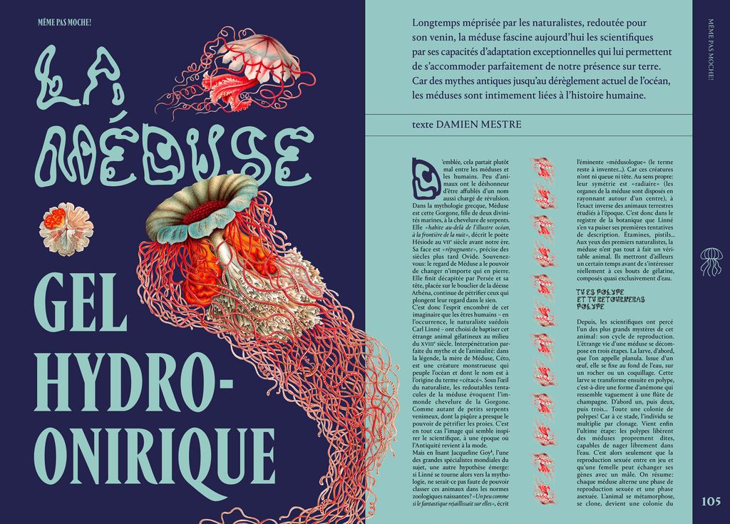 Fracas N4 Même pas moche : la méduse gel hydro-onirique