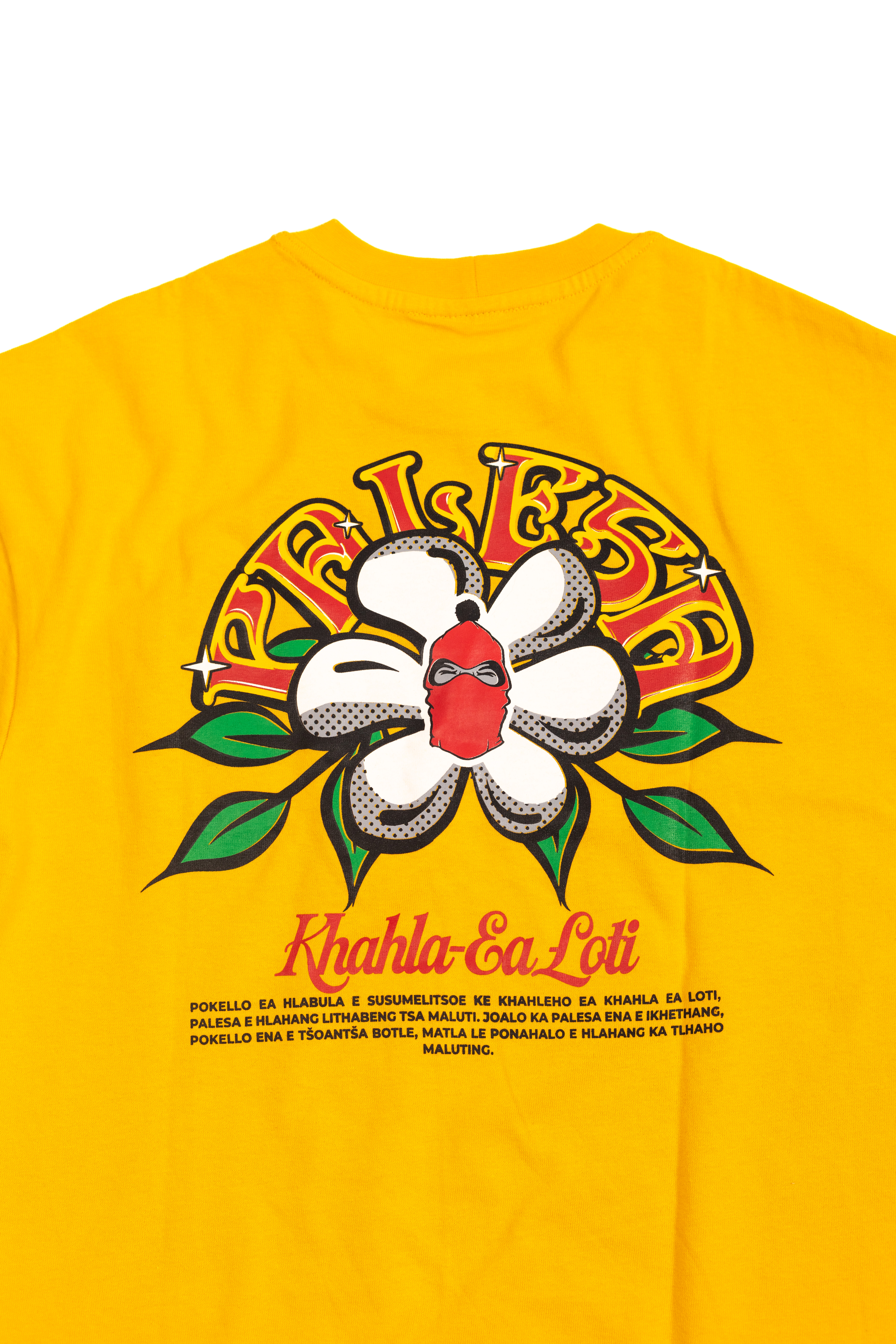 Palesa boxy t shirt view 2