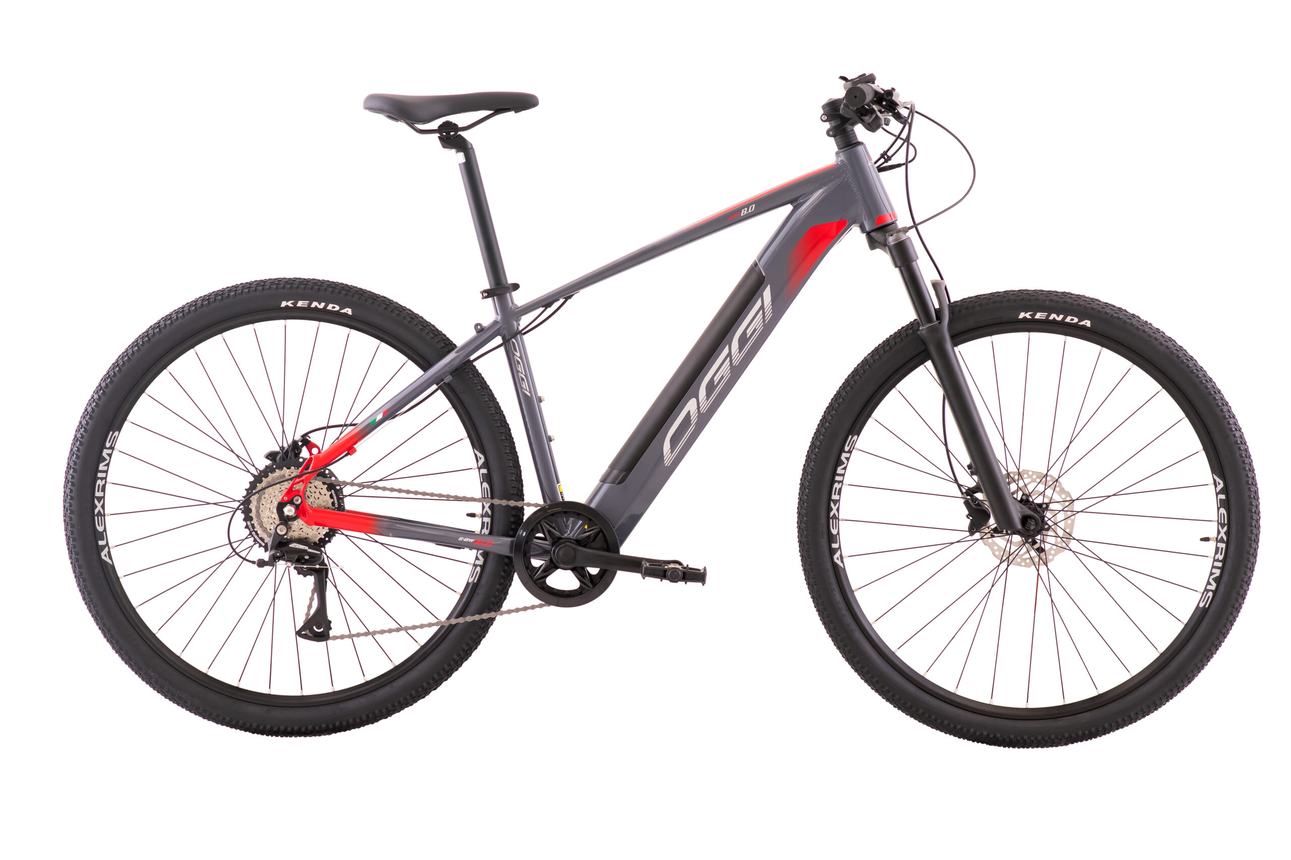 Oggi Big Wheel 8.0 E-Bike