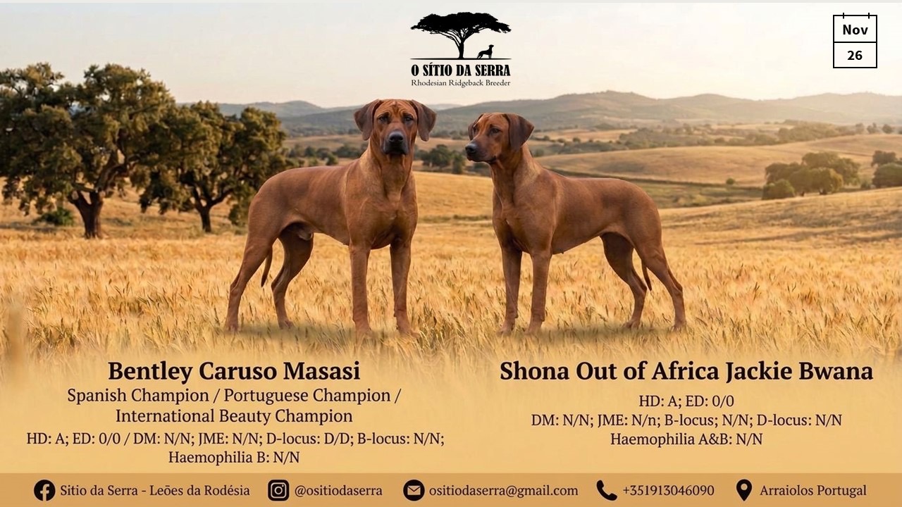 Mãe: Shona Out of Africa Jackie Bwana