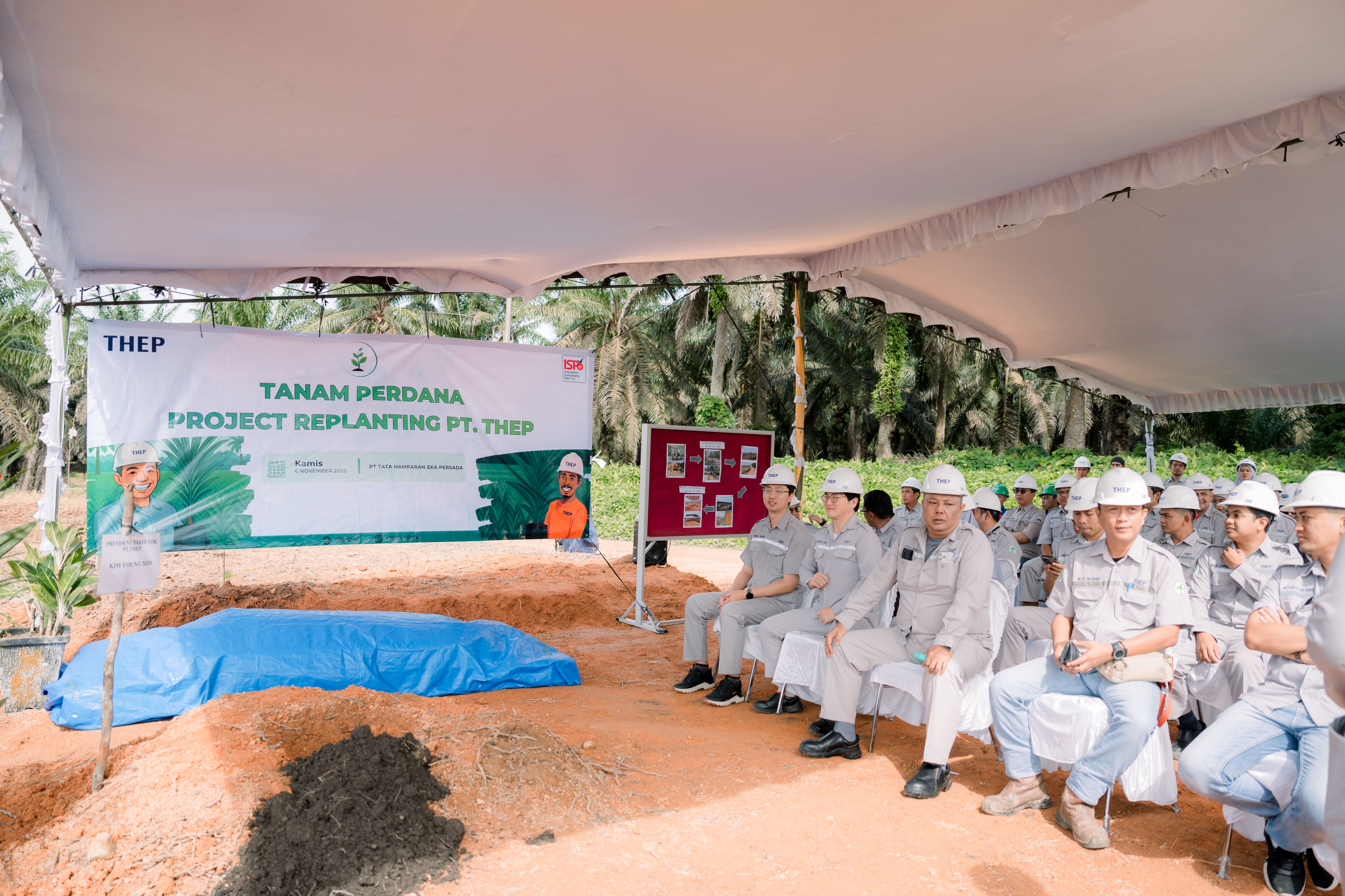 PT Tata Hamparan Eka Persada (PT THEP) melaksanakan Tanam Perdana Replanting di Pelangas