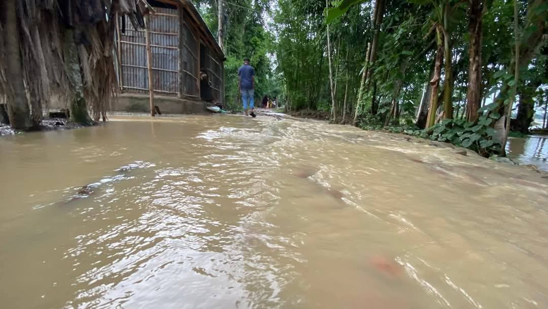 প্লাবিত ঘরবাড়ি 