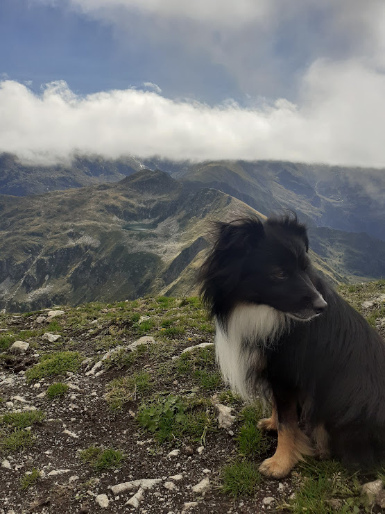 Clara Arnaud et la politique du vivant 
