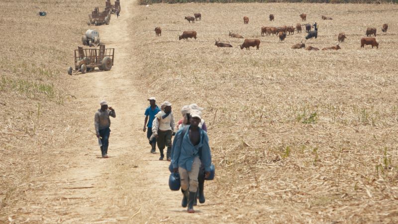 Mathilde Damoisel : derrière la douceur du sucre 