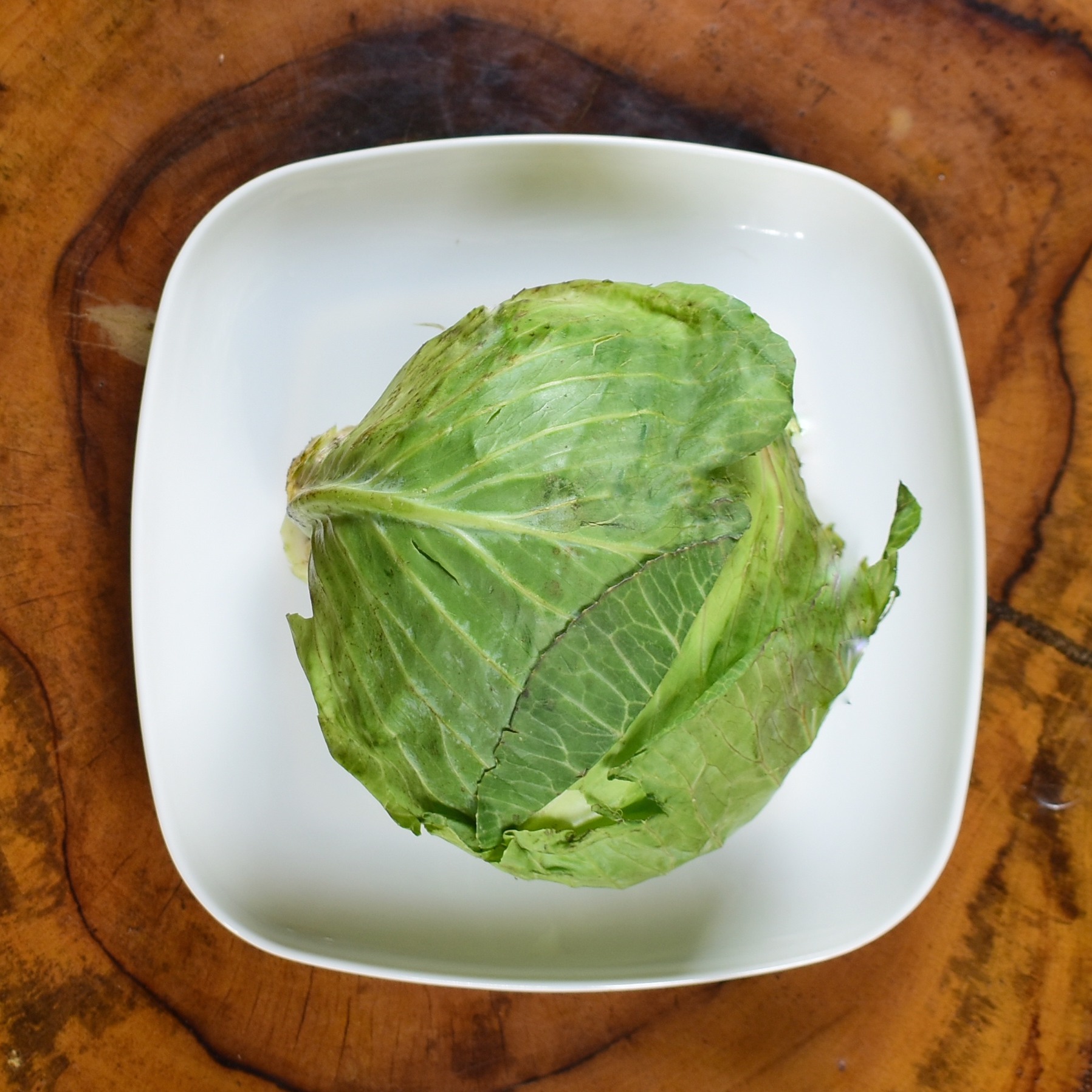 Cabbage