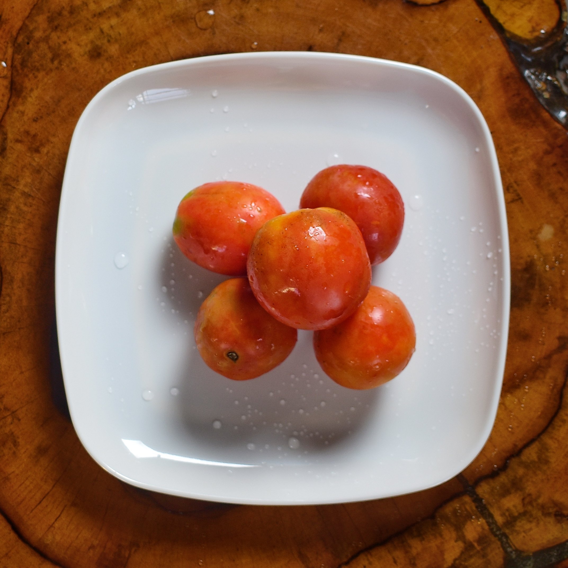 Tomatoes