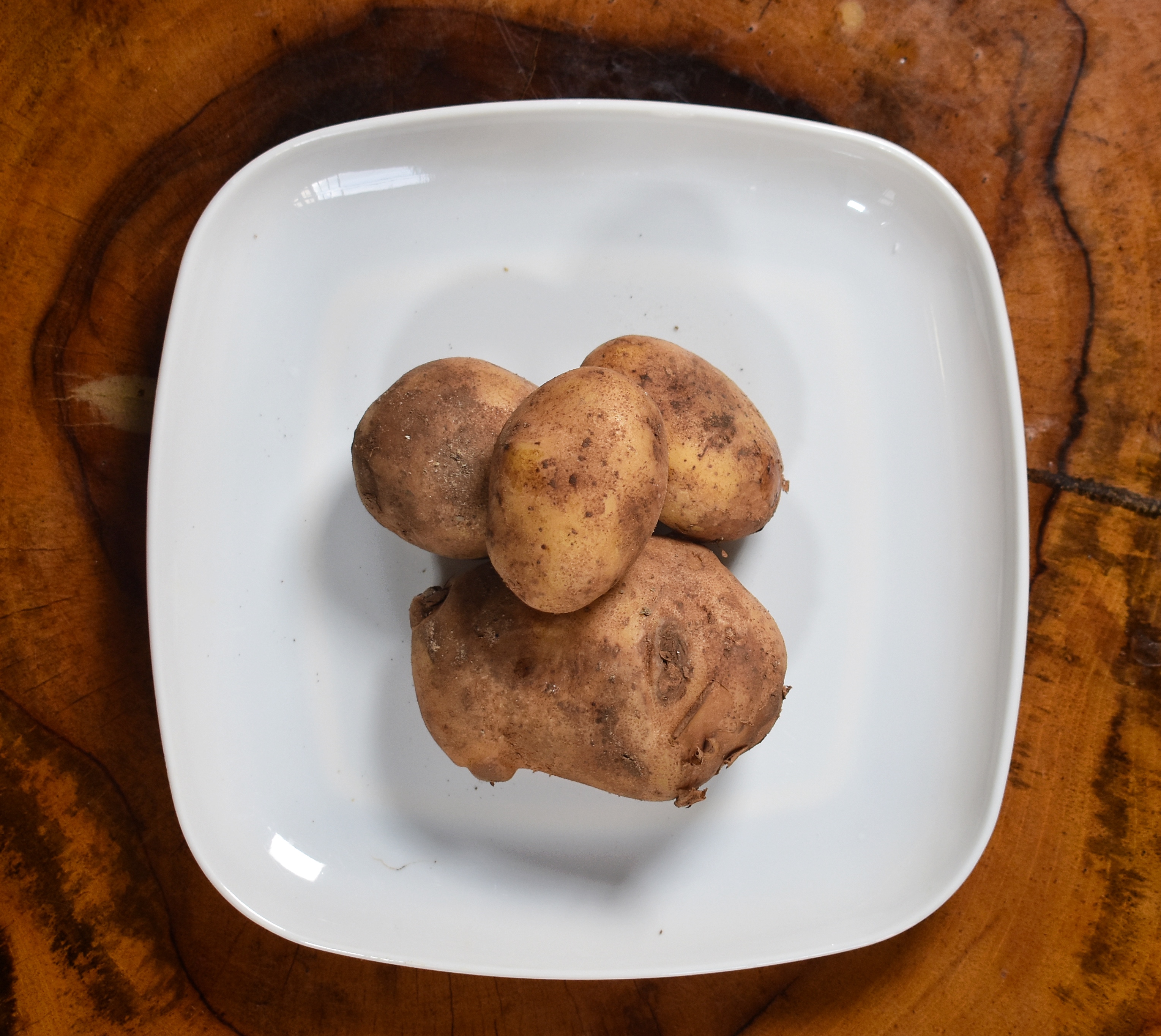 Irish Potato