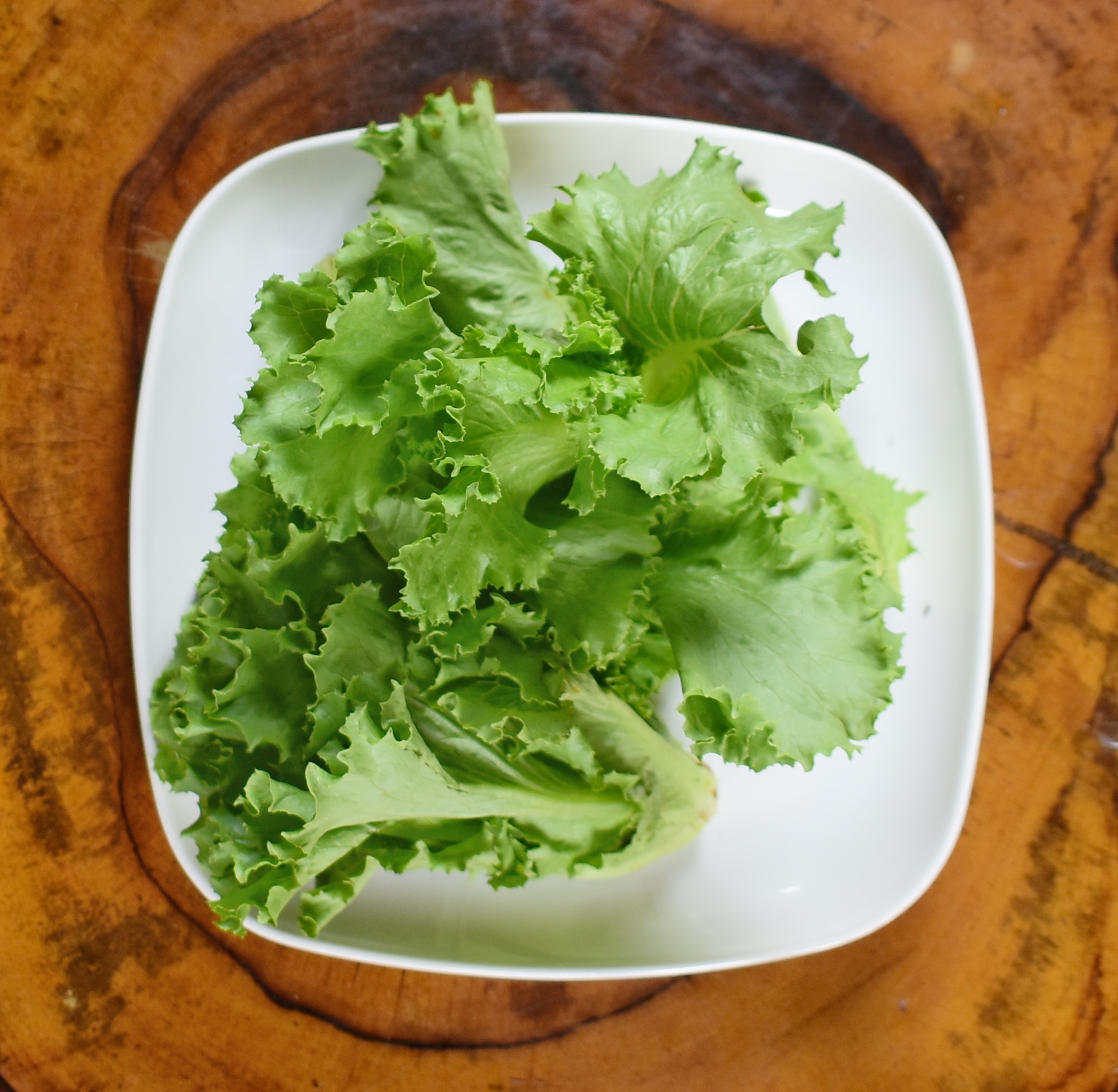 Lettuce