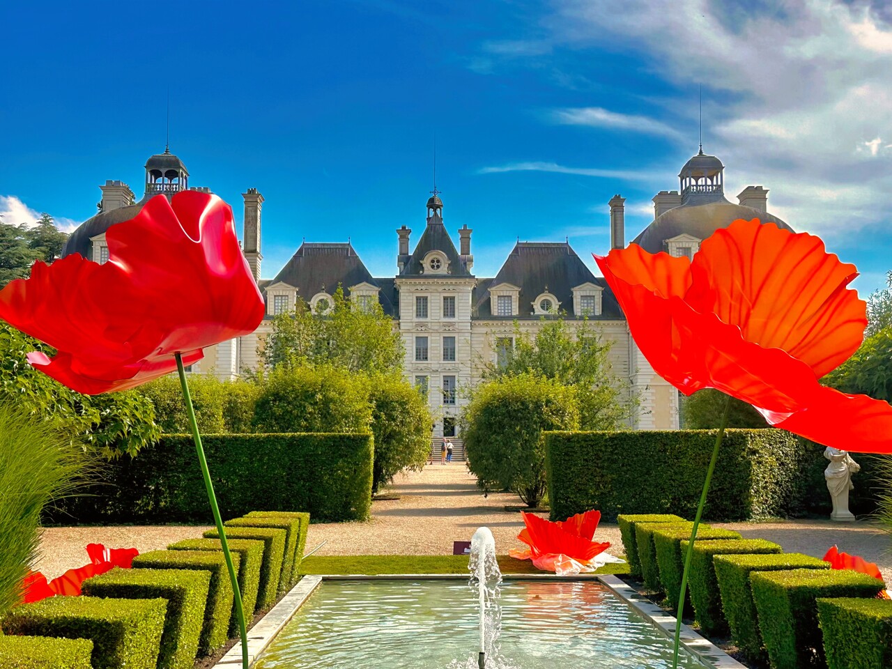 Cheverny : 600 000 tulipes pour épater les bobos parisiens