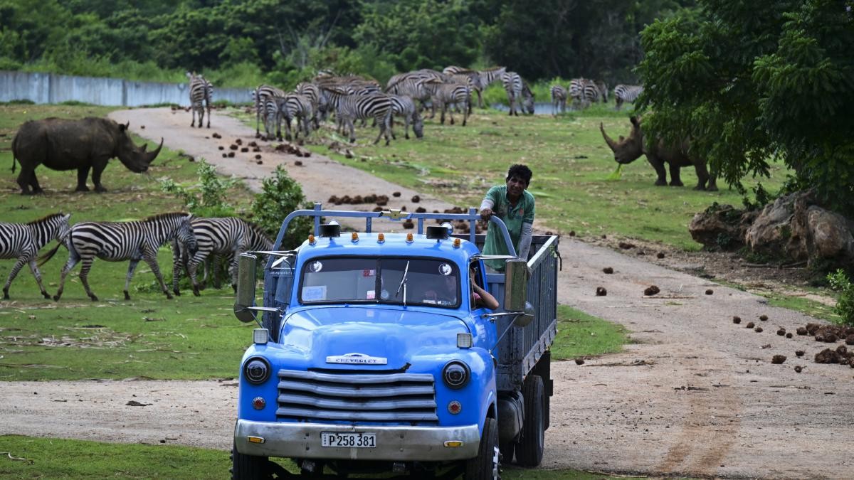 El Zoológico Nacional de Cuba resiste entre apagones, hambre y un bloqueo que no perdona