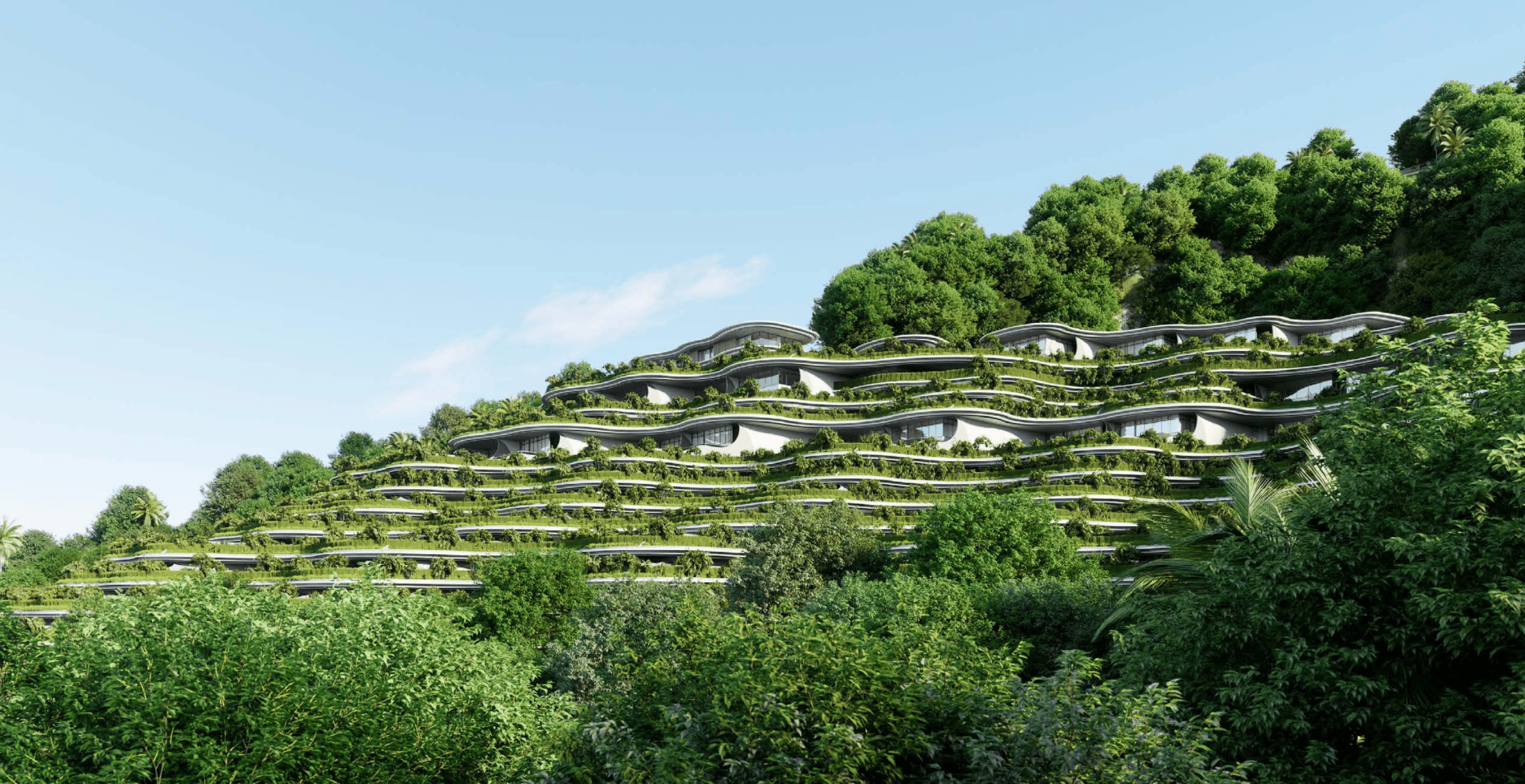 Understanding ECCs: Environmental Safeguards for PH Projects