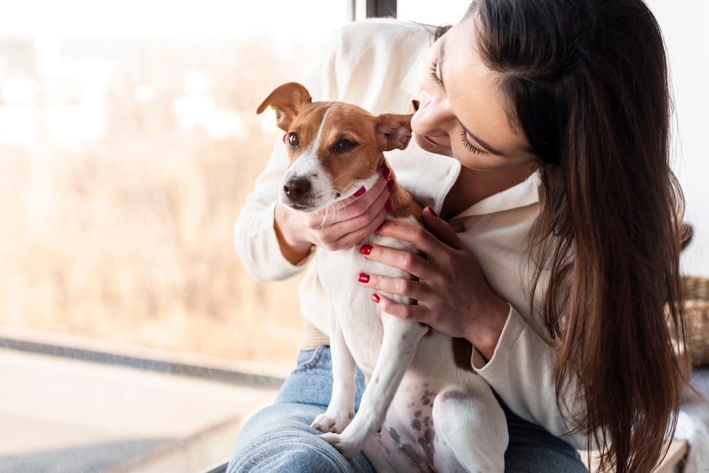 Mascotas humanizadas: cuando el sentimentalismo daña