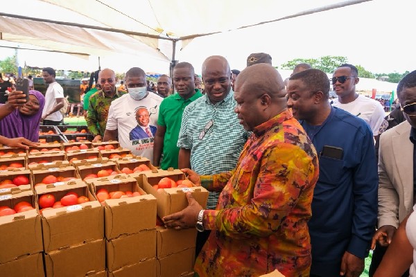 Ghana launches bold tomato self-sufficiency drive: 400,000 tonnes and 600,000 jobs in sight