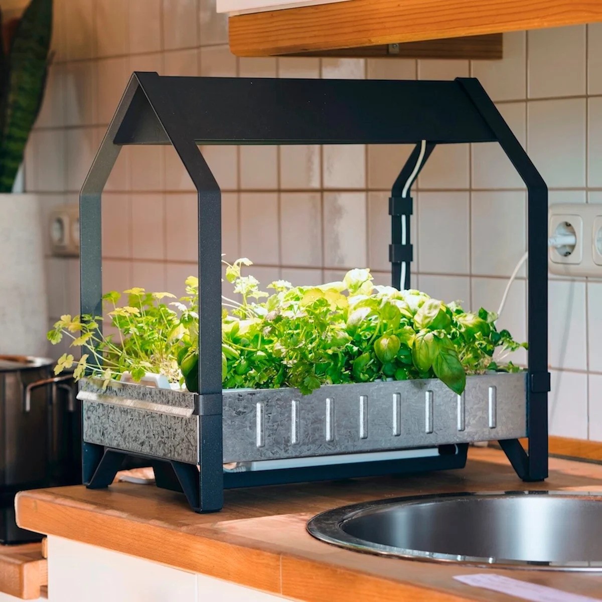 Hydroponic Farming in ASEAN: A Data-Driven Look at Soilless Agriculture for Urban Food Security