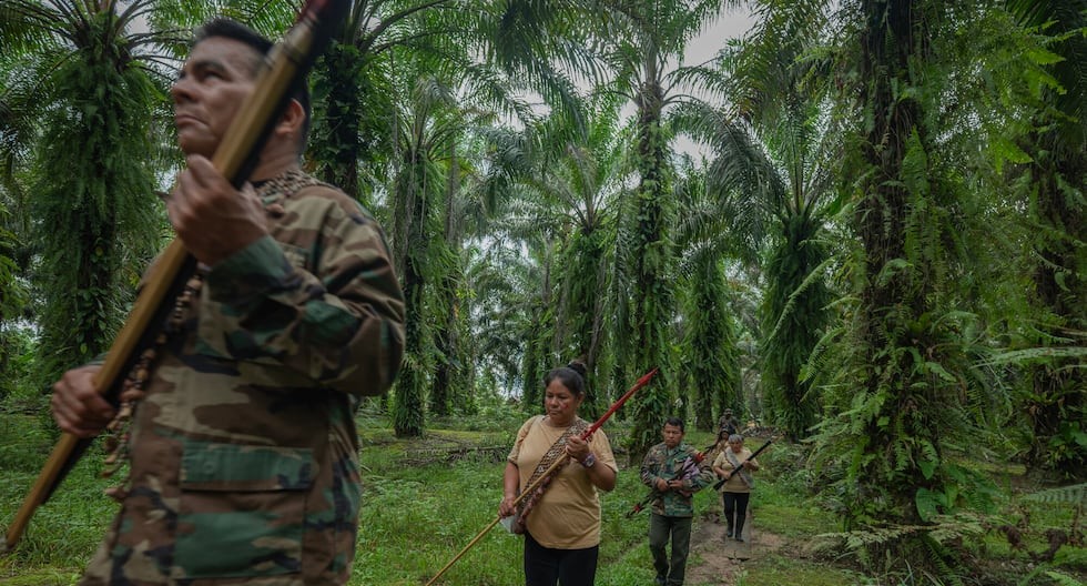 América Latina y la violencia contra defensores: un problema de Estado de derecho