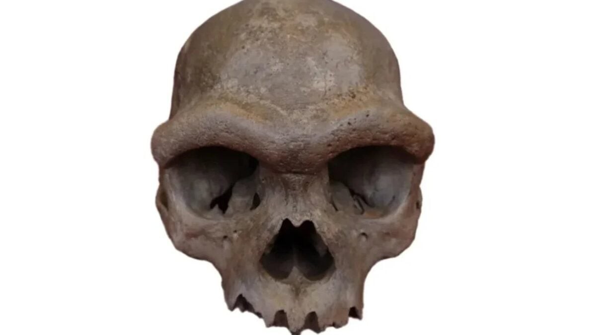 Denisovanos en China: 1.366 herramientas revelan cómo vivían nuestros primos humanos