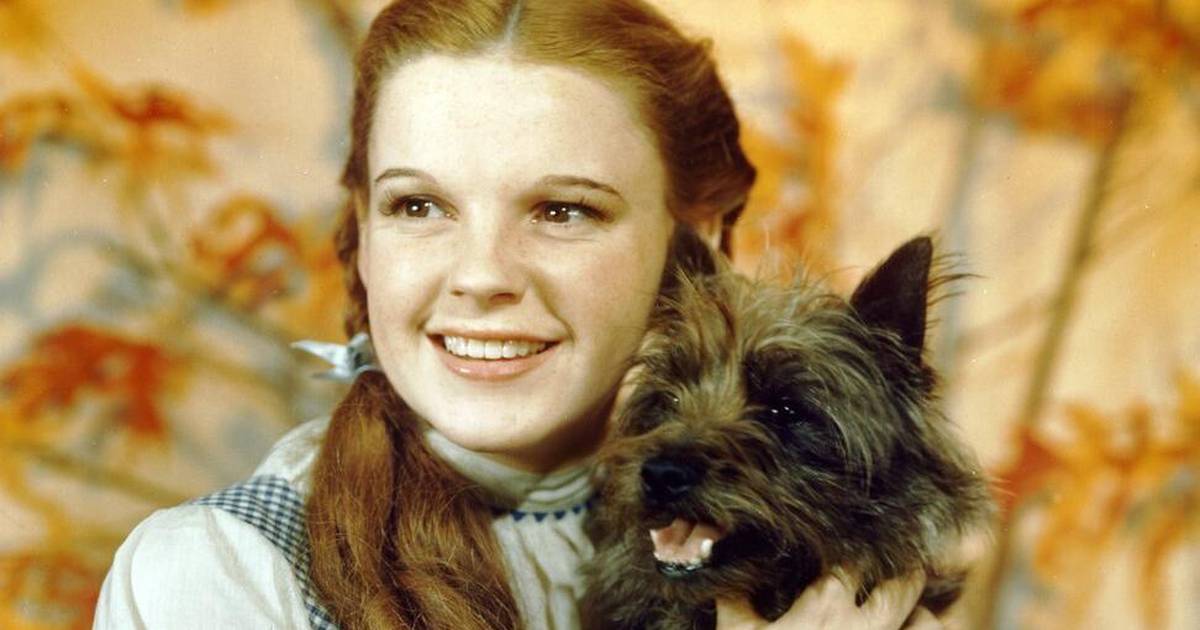 Judy Garland: Hollywood je progutao dušu djevojčice