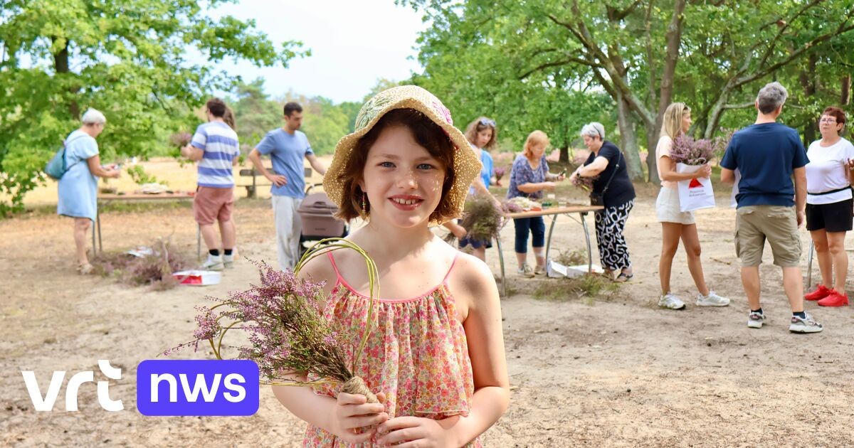 Boeket plukken op de heide voor Moederdag: zo help je ook het natuurbeheer