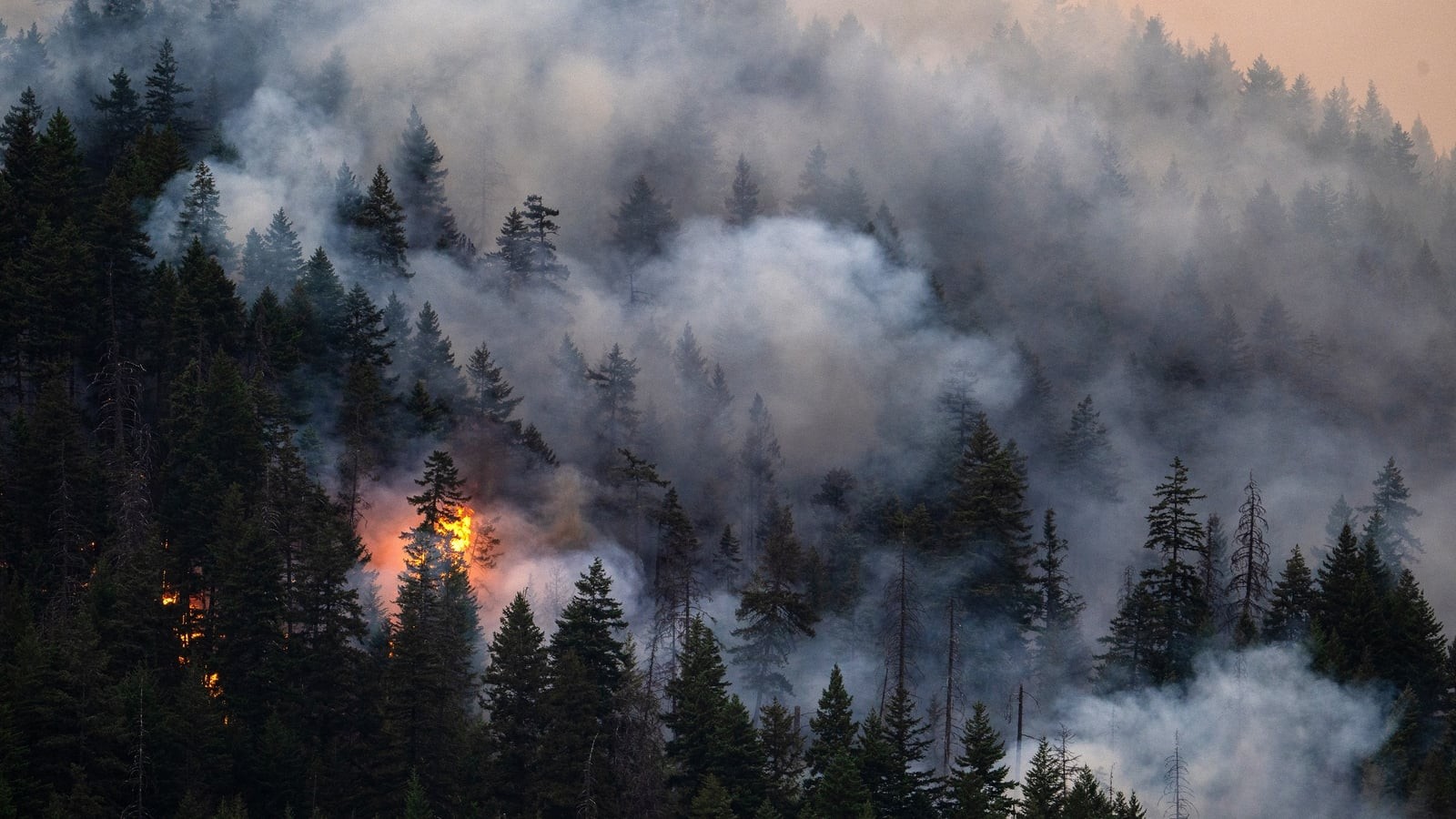 Woman, 80, dies fleeing wildfire in Canada as climate crisis deepens