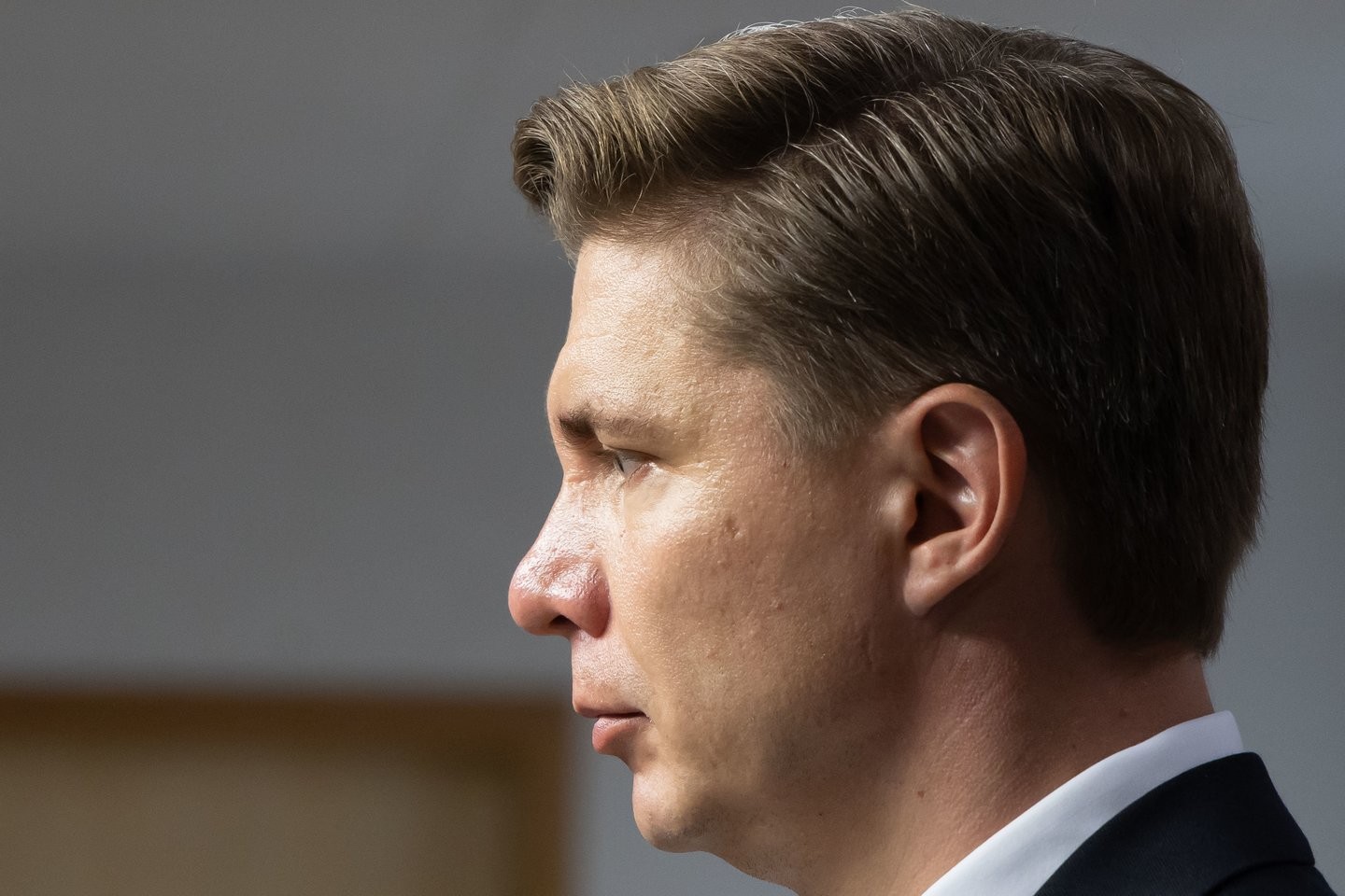 Sinkevičiaus valdžios savaitė: ekspertas įžvelgia socialdemokratų ligą ir klausia, kam jie egzistuoja