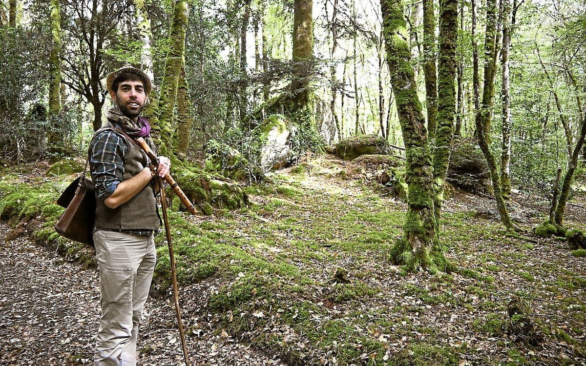 Forêt de Commana : l'émerveillement comme arme de résistance identitaire