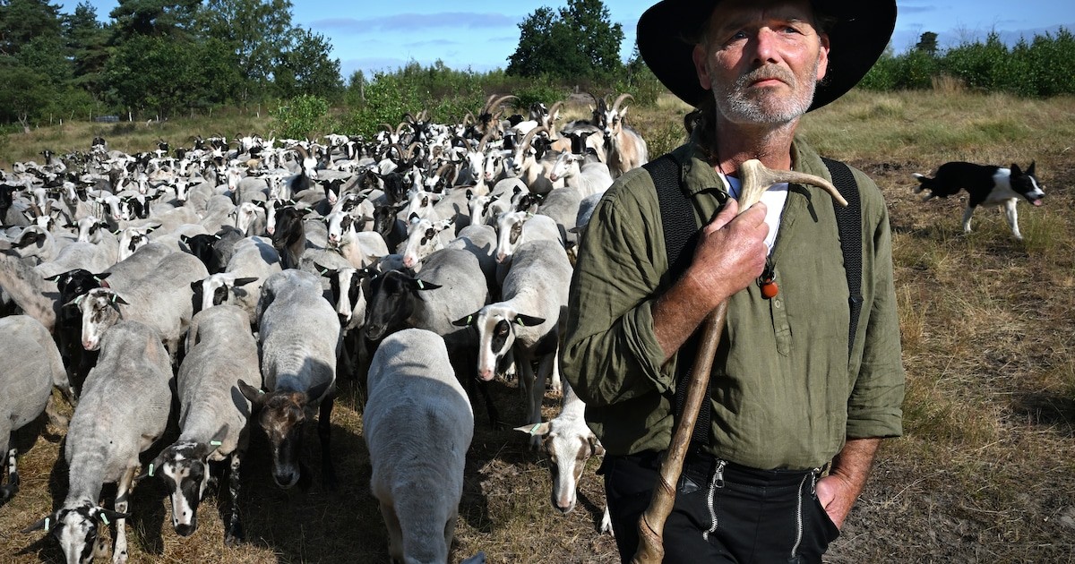Wolfwerende maatregelen met licht en geluid stuiten op scepsis van herders en experts