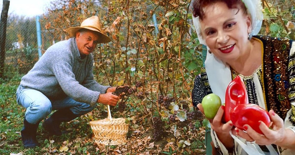 Aspirina în murături: obicei din Epoca de Aur sau risc pentru sănătate? Află ce recomandă nutriționiștii și ce trucuri folosesc vedetele