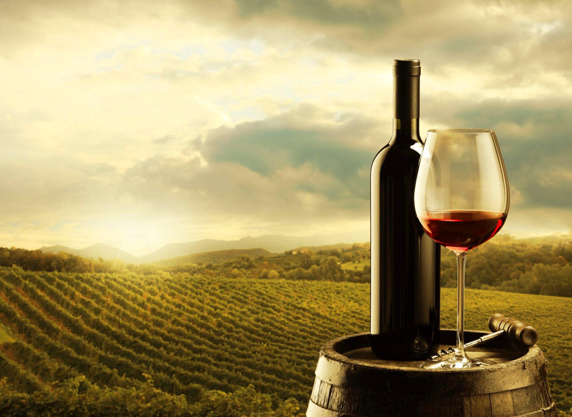ViniPortugal investe 8 milhões enquanto pequenos produtores lutam