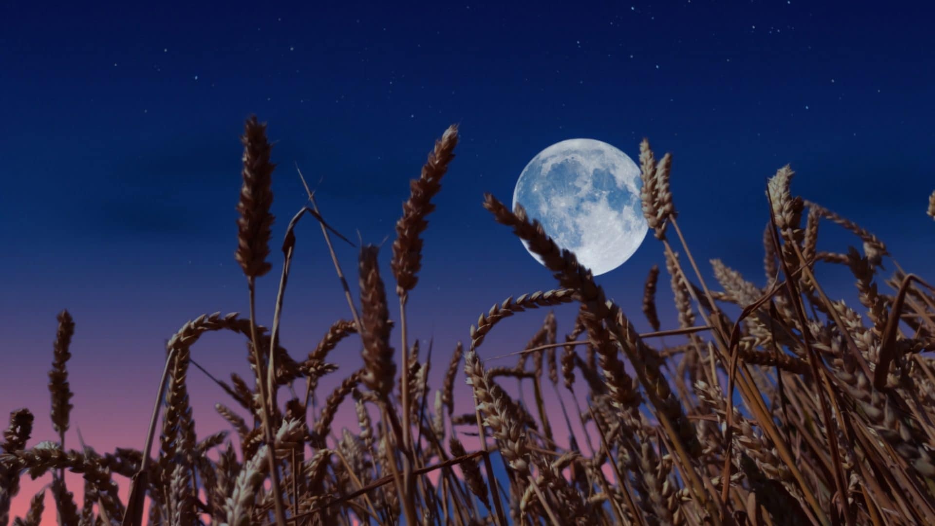 Luna Piena del Raccolto: lo spettacolo che l'Italia non può perdersi