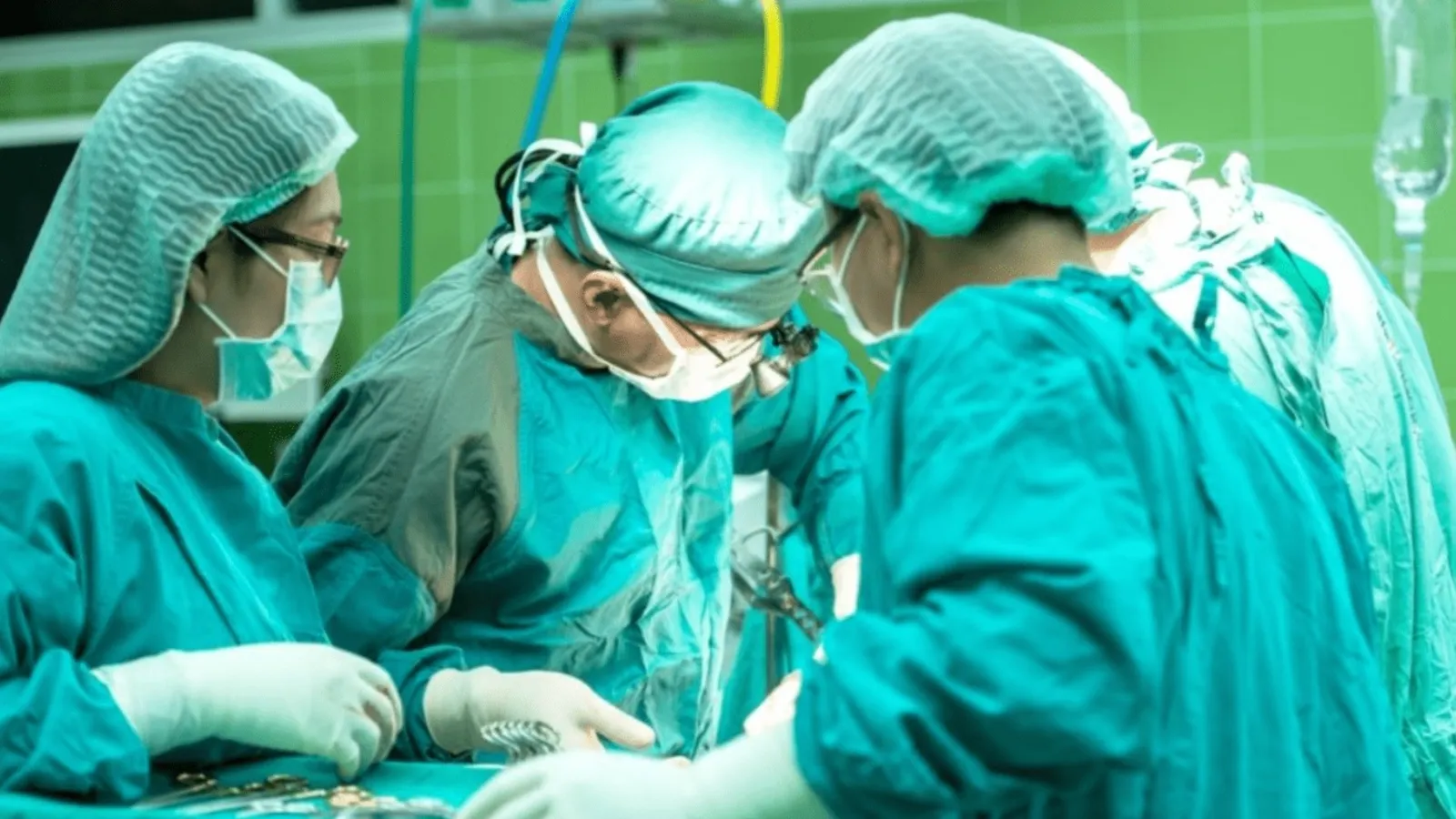 Un rinichi de porc a funcționat 271 de zile într-un pacient. Recordul care redefinește transplanturile