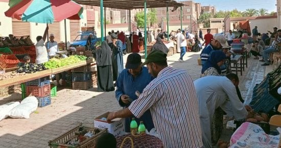 سوق اليوم الواحد بالداخلة نموذج رائد للتكافل الاجتماعي ودعم الأسر بأسعار مخفضة